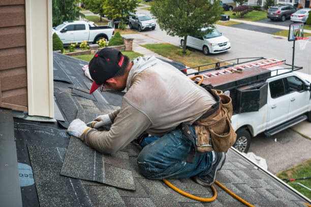 Professional Roof Leak Repair technician working in Thomson, IL
